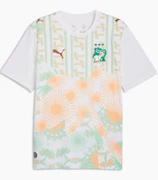 Camiseta Costa de Marfil Mundial 2026