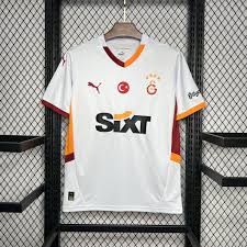 Galatasaray 2024/25