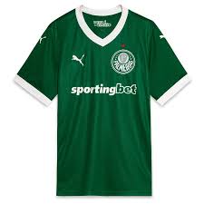 Camiseta Palmeiras 2025-26